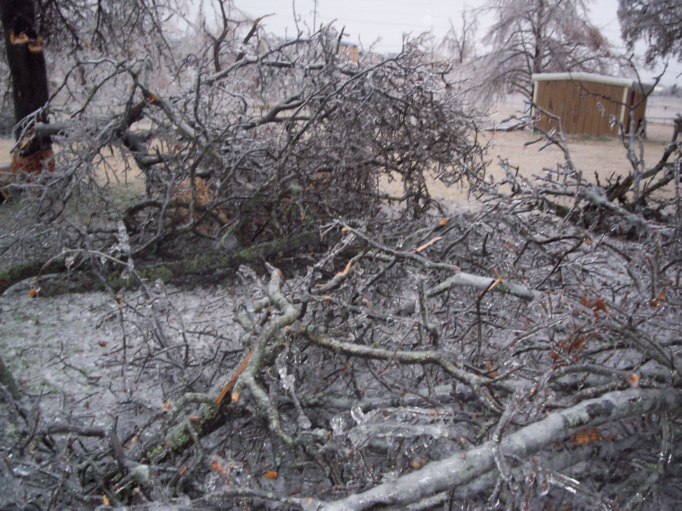 Ice Storm Pictures From Kenneth Lowe In Choctaw, OK photo 4